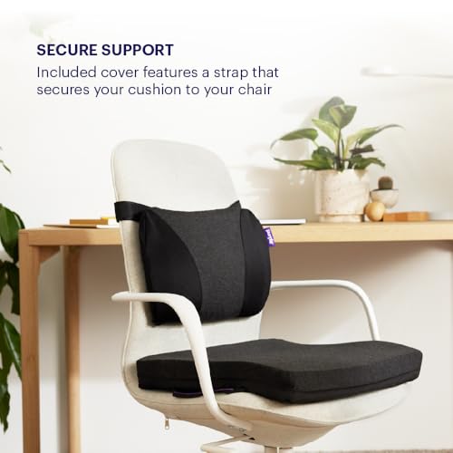 Purple Back Cushion | Pressure Reducing Grid Designed for Ultimate Comfort | Designed for Chairs, Gaming, and Travel | Made in The USA