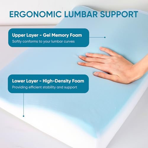 AHUAWA Back Support Pillow for Recliner Chair, Memory Foam Couch Back Cushions Ergonomic Large Lumbar Support Pillow for Lower Back Pain Relief, with Soft Velvet