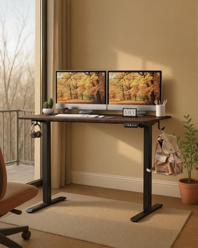 NEXT BEAUTY Electric Standing Desk 48" x 24", Height Adjustable 28"-46", Sit Stand Desk with Memory Presets, Smooth & Quiet Motor, Reinforced Frame, Easy Assembly, Ergonomic Home Office Desk