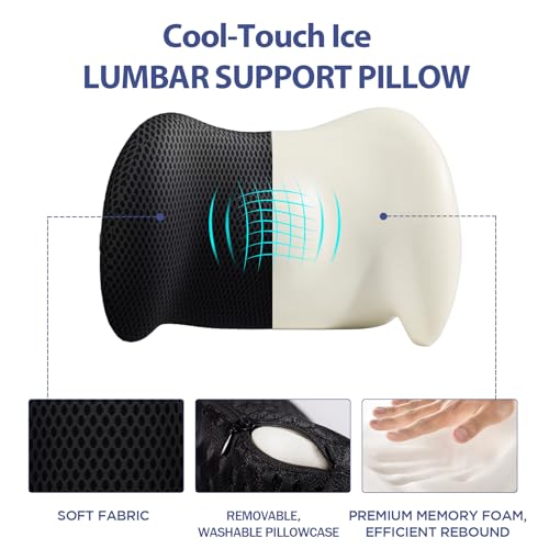 Lumbar Support Pillow for Office Chair, Car Lumbar Pillow Lower Back Pain Relief, Memory Foam Back Cushion with 4D Mesh Cover and Adjustable Straps, Ergonomic Chair Back Pillow for Car,Bed, Gaming