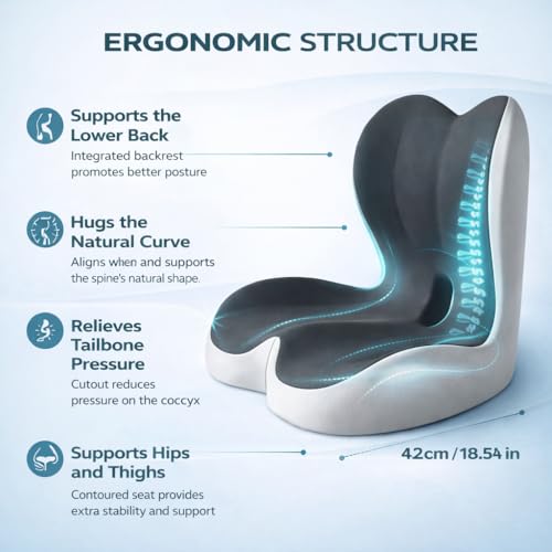 MOYEE Wide Memory Foam Seat Cushion with Lumbar Support for Office Chair & Car Seat, Ergonomic Design for Long Sitting, Gradual Relief & Lasting Support for Back, Tailbone & Sciatica Pain