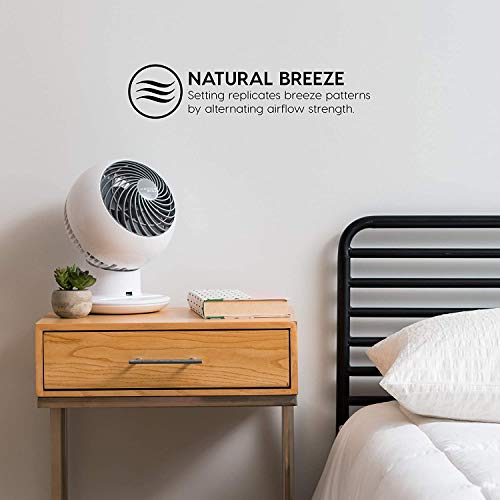 IRIS USA WOOZOO Air Circulator Fan with Remote, Oscillating, 5 Speeds, Quiet Motor, Small Fan for Bedroom, Office, Dorm, White