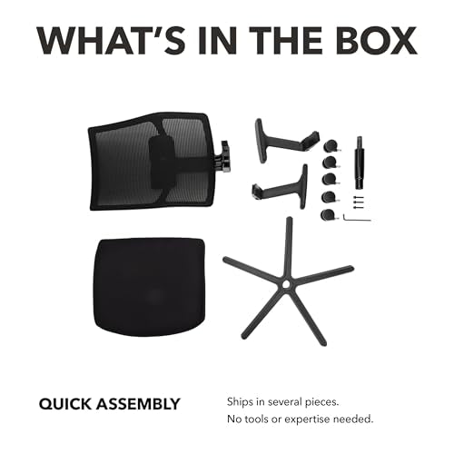 HON Ignition 2.0 Mid‑Back Ergonomic Office Chair, Mesh Task Seating with Lumbar Support, Advanced Synchro‑Tilt, Height and Width Adjustable Arms, Black Frame, Black
