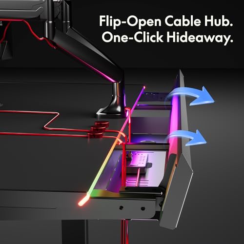 FLEXISPOT Electric RGB Gaming Standing Desk, 55" Dual Motor Height Adjustable Desk with Integrated Cable Management, Ergonomic Sit-Stand Computer Workstation for PC Gamers