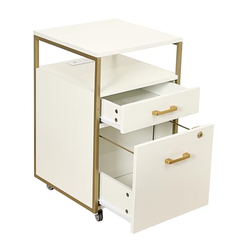 Modern 2-Drawer Rolling File Cabinet with Lock, 2 USB Ports and Power Outlet for Device Charging, Portable File Organizer or Printer Stand for Office or Home with Locking Wheels, White & Gold