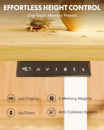 FLEXISPOT EN1 One-Piece Standing Desk, 48"x24" Seamless Desktop Electric Height Adjustable Desk for Home Office, Multi-Monitor Setups & Easy Assembly, Maple