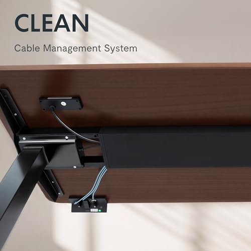 FLEXISPOT WoodiX 63 x 30 Inch Solid Wood Standing Desk, Premium Mid-Century Modern Executive Desk, Dual Motor Sit-Stand Workstation with Cable Management, 220 LBS, Walnut