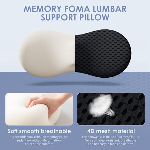 kasney Lumbar Support Pillow, Memory Foam Lumbar Pillow for Lower Back Pain Relief, Back Support Pillow for Office Chair, Car Seat - Black