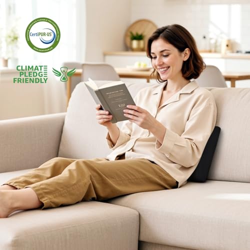 DailyCuddles Lumbar Support Pillow for Office Chair Back Support - Memory Foam Lumbar Pillow for Car or Gaming Chair, Ergonomic Back Cushion with Adjustable Strap for Long-Hour Sitting (Black)