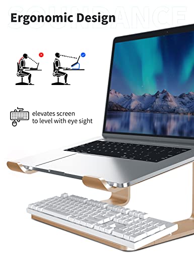 SOUNDANCE Laptop Stand, Aluminum Computer Riser, Ergonomic Laptops Elevator for Desk, Metal Holder Compatible with 10 to 15.6 Inches Notebook Computer, Champagne Gold