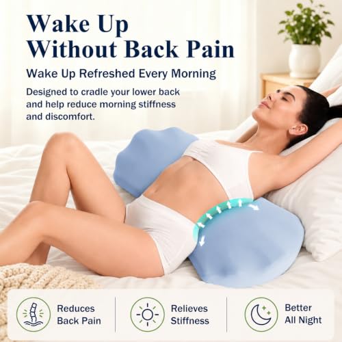 Fledano Lumbar Pillow for Sleeping, Lumbar Support Pillow for Bed for Back Pain Relief, Memory Foam Lower Back Pillow for Bed, Back Support Pillow for Side & Back Sleepers, Washable Cover