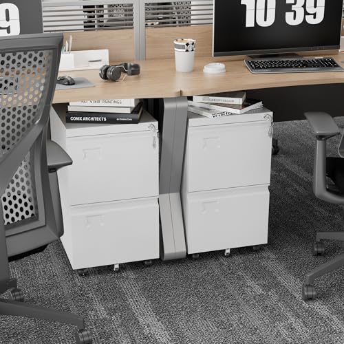 GangMei 2 Drawer File Cabinet with Lock, Under Desk Metal Rolling Filing Cabinet for Letter/Legal Size Folder, Mobile File Cabinet with 5 Wheels (Anti-Tilt) for Home Office, Assembly Required, White
