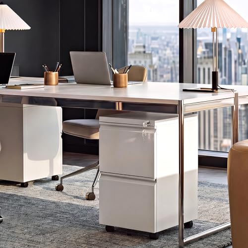 DEVAISE 2 Drawer Mobile File Cabinet with Lock, Commercial Vertical Metal Filing Cabinet for Home Office, Fully Assembled Except Casters, White