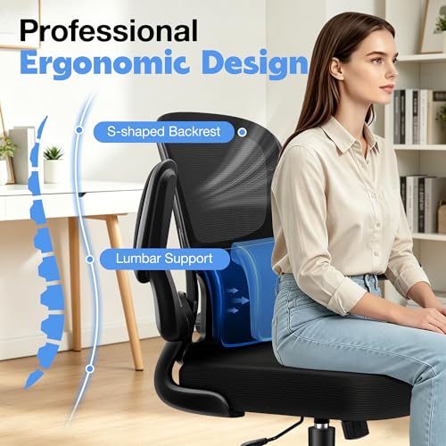 ALLGOD Ergonomic Office Chair, Breathable Mesh Ergonomic Desk Chair with Adjustable Lumbar Support, Flip-up Armrests, Computer Chairs Comfortable for Home, Office, Work, 300lbs, Black, Upgrade
