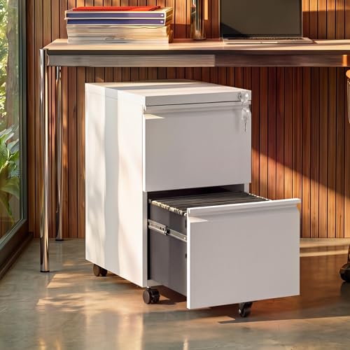 DEVAISE 2 Drawer Mobile File Cabinet with Lock, Commercial Vertical Metal Filing Cabinet for Home Office, Fully Assembled Except Casters, White