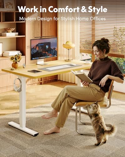 FLEXISPOT EN1 One-Piece Standing Desk, Electric Adjustable with 4 Memory Presets, 176 LBS Capacity, Stable & Quiet, Seamless Desktop for Home Office & Dual Monitors, 48"x24" Maple(White Frame)