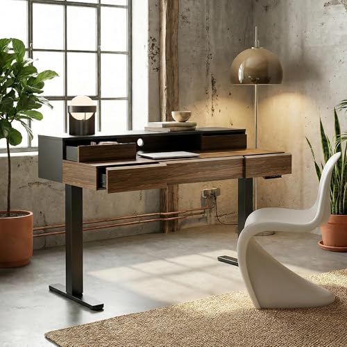 ErGear Electric Standing Desk with 5 Solid Wood Drawers, 48 x 26 Inches Whole Piece Desktop, with Desktop Riser Stand, Compatible with C-Clamp Monitor Arms, Modern Office Desk, Dark Walnut
