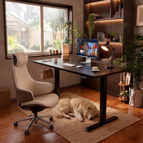 Furmax 55 x 24 Inches Electric Height Adjustable Standing Desk Large Sit Stand Up Desk Home Office Computer Desk Memory Preset with T-Shaped Metal Bracket, Black