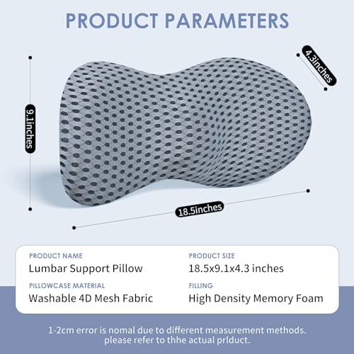 kasney Lumbar Support Pillow, Back Pillow for Low Back Pain Relief, Ergonomic Streamline Car Seat, Office Chair, Recliner and Bed (Gray)