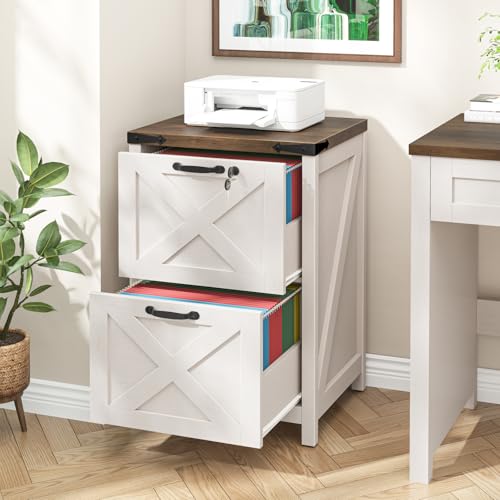 Halitaa 2 Drawer Small File Cabinet with Lock, Farmhouse Vertical Filing Cabinet Fits Letter and A4 Size, Under Desk Wooden File Cabinets for Home Office, Printer Stand, Rustic White