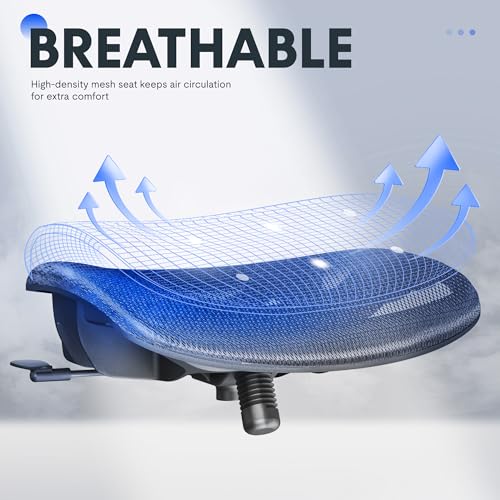 FLEXISPOT Ergonomic Office Chair, High Back Mesh Swivel Computer Chair, Executive Office Desk Chairs, with Adjustable Lumbar Support/2D Headrest/Lockable Backrest, OC3 Mesh Seat, Gray