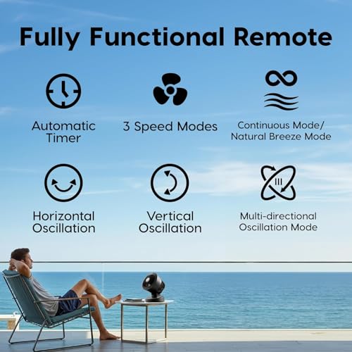 IRIS USA WOOZOO Air Circulator Fan with Remote, Oscillating, 3 Speeds, 56ft Max Air Distance, Adjustable Tilt, Quiet Motor, Small Fan for Bedroom, Office, Dorm, Black