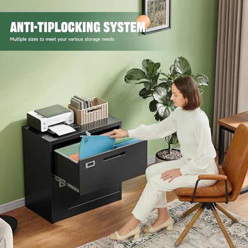 Letaya 2 Drawer File Cabinet with Lock,Metal Lateral Filing Cabinet for Home Office,Hanging Letter/Legal/A4 Size (Black, H27.95×W28.35×D15.74)