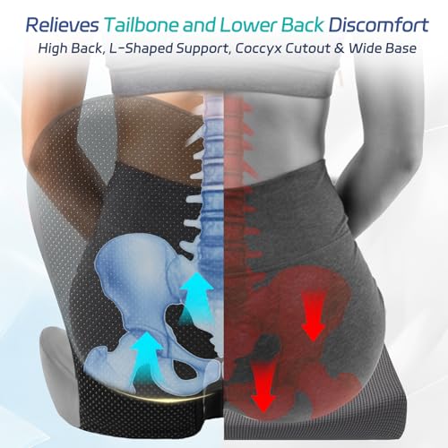 Synthcore Back and Seat Cushion for Office, Back & Tailbone Pain Relief, Raised Cushion for Lumbar and Butt, Double-Sided Anti-Slip, Improves Sitting Posture, Ergonomic Memory Foam Lumbar Cushion