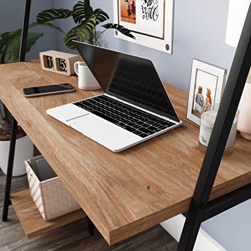 Sauder North Avenue Modern Computer Desk with Hutch for Office, Sindoori Mango Finish