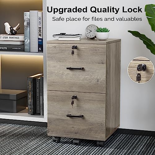 VINGLI 2 Drawer File Cabinet with Lock, Wood Rustic Gray Filing Cabinet for Letter Size File Folders with Tabs, Under Desk Rolling File Cabinets for Home Office, Mobile File Organization Printer Stand
