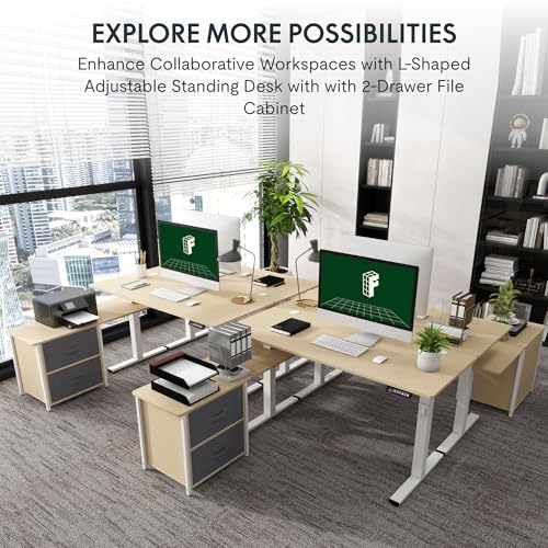 FLEXISPOT L Shaped Standing Desk with Drawers, Large Electric Height Adjustable Executive Desk, Sit Stand Desk for Home Office and Workstation, Hooks and USB Port (63"x28" White Wood Grain)