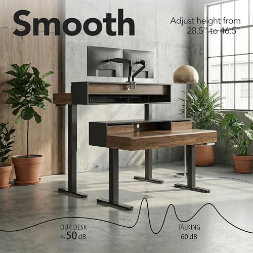 ErGear Electric Standing Desk with 5 Solid Wood Drawers, 48 x 26 Inches Whole Piece Desktop, with Desktop Riser Stand, Compatible with C-Clamp Monitor Arms, Modern Office Desk, Dark Walnut