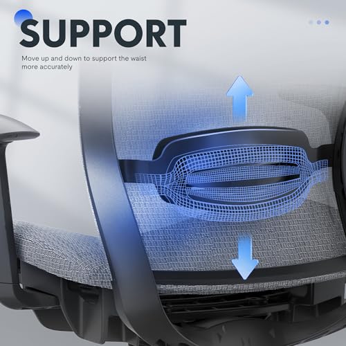 FLEXISPOT Ergonomic Office Chair, High Back Mesh Swivel Computer Chair, Executive Office Desk Chairs, with Adjustable Lumbar Support/2D Headrest/Lockable Backrest, OC3 Mesh Seat, Gray