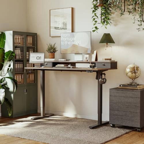 Agilestic 55 x 24 Inches Height Adjustable Electric Standing Desk with 2 Drawers, Stand Up Electric Desk Adjustable Height, Sit Stand Computer Gaming Table with Splice Board, Rustic Brown