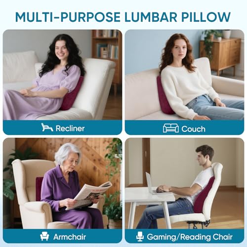 AHUAWA Back Support Pillow for Recliner Chair, Memory Foam Couch Back Cushions Ergonomic Large Lumbar Support Pillow for Lower Back Pain Relief, with Soft Velvet