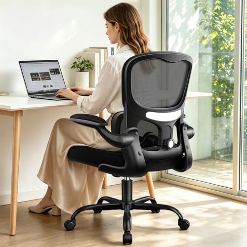 ALLGOD Ergonomic Office Chair, Breathable Mesh Ergonomic Desk Chair with Adjustable Lumbar Support, Flip-up Armrests, Computer Chairs Comfortable for Home, Office, Work, 300lbs, Black, Upgrade