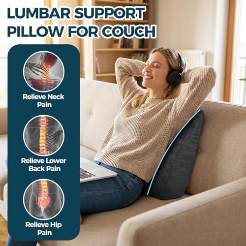 TANYOO Back Support Pillow for Recliner Soft Dual Layer Lumbar Support Pillow with Memory Foam Shreds Ergonomic Orthopedic Couch Back Cushions for Elderly Lower Back Pain Relief Dark Grey