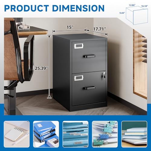 BYNSOE 2 Drawer File Cabinet with Lock Vertical Filing Storage Cabinet Office Home Steel Vertical File Cabinets for Letter Size File Cabinet Locked,Assembly Required