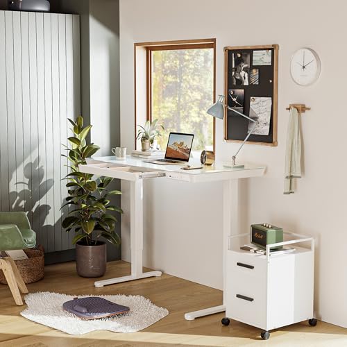 BANTI Electric Standing Desk with Drawers, 48 inch Whole-Piece Glass Desktop, Height Adjustable Stand up Sit Stand Home Office Ergonomic Workstation, White Tabletop
