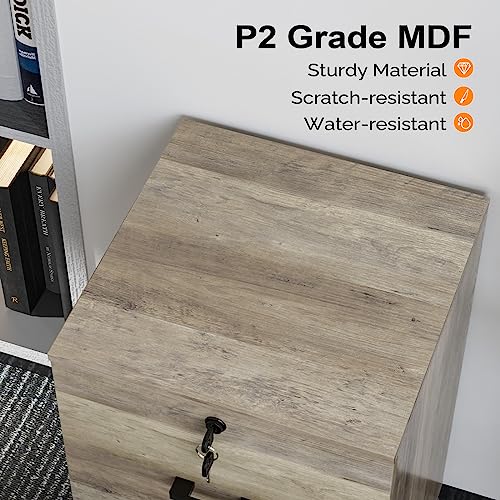 VINGLI 2 Drawer File Cabinet with Lock, Wood Rustic Gray Filing Cabinet for Letter Size File Folders with Tabs, Under Desk Rolling File Cabinets for Home Office, Mobile File Organization Printer Stand