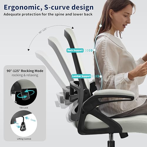 Ergonomic Office Chair, Desk Chair with Adjustable Lumbar Support, Breathable Mesh Comfy Computer Chairs with Flip-up Armrests Executive Task Chair for Adults Home Office (Dark Gray)