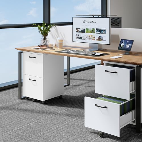 Sweetcrispy 2 Drawer Filing Cabinet White, Rolling Wood File Cabinets, Home Office Organizer, Under Desk Storage Lockable Wheels, Printer Stand, Storage Cabinet, White