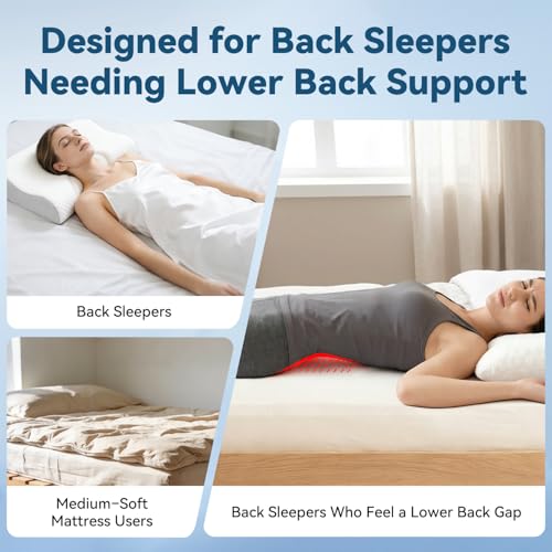 Adjustable Height Lumbar Support Pillow for Sleeping, Ergonomic Contour Lower Back Pillow for Bed with Breathable Washable Cover, Spine Alignment & Sleep Comfort, Blue