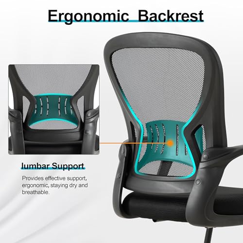 BOWTHY Waiting Room Chairs Set of 10,Office Guest Reception Chair No Wheels,Mesh Conference Room Chairs with Sled Base,Ergonomic Computer Desk Chair with Lumbar Support,Black