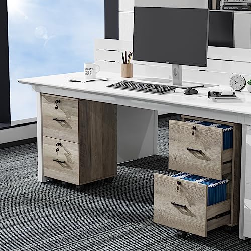 VINGLI 2 Drawer File Cabinet with Lock, Wood Rustic Gray Filing Cabinet for Letter Size File Folders with Tabs, Under Desk Rolling File Cabinets for Home Office, Mobile File Organization Printer Stand