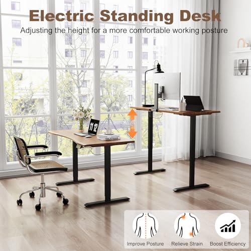 Solid Wood Electric Standing Desk 55"x23.6"Home Office Desk,Adjustable Workbench with 3 Stages Single Motor, Computer Workstation with T-Shaped Metal Bracket,Walnut Standing Table for Gaming(1 Box)