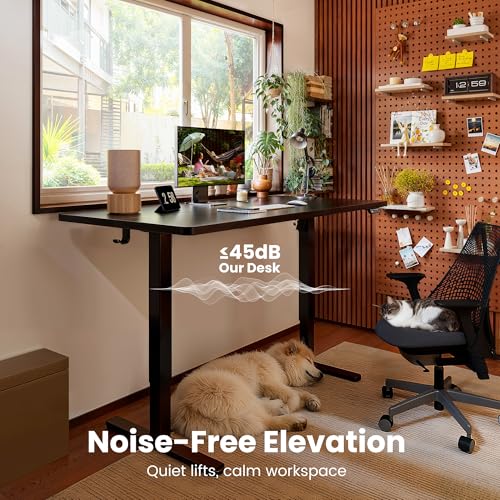 ErGear Height Adjustable Electric Standing Desk, 55 x 28 Inches Sit Stand up Desk, Memory Computer Home Office Desk, Black
