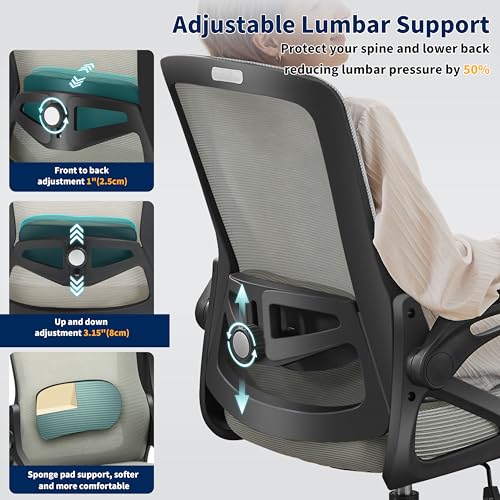 Ergonomic Office Chair, Desk Chair with Adjustable Lumbar Support, Breathable Mesh Comfy Computer Chairs with Flip-up Armrests Executive Task Chair for Adults Home Office (Dark Gray)