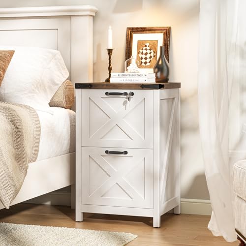 Halitaa 2 Drawer Small File Cabinet with Lock, Farmhouse Vertical Filing Cabinet Fits Letter and A4 Size, Under Desk Wooden File Cabinets for Home Office, Printer Stand, Rustic White