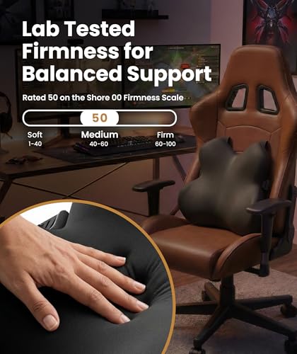 Everlasting Comfort Lumbar Support Pillow for Office Chair - Memory Foam Back Cushion for Car Seat - Promotes Better Posture, Back Pain Relief - Ideal Gaming and Desk Chairs Work and Home Essentials